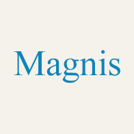 Создание лэндинга для компании «Магнис»
